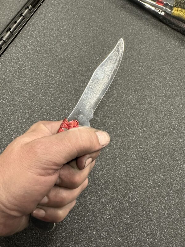 Buck trainer - Image 5
