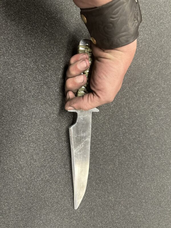 Seax fighter trainer - Image 3