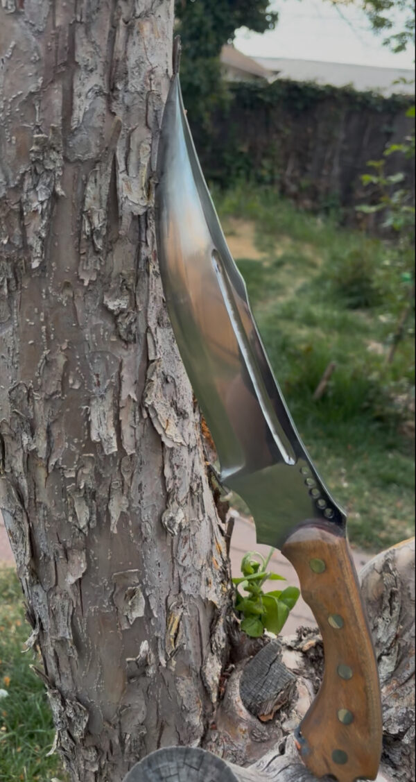 Dragon Knife