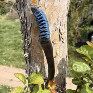 Blued Recurve Knife