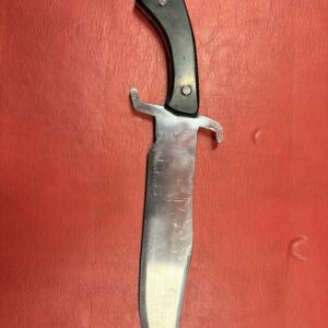 S guard Bowie trainer (1)