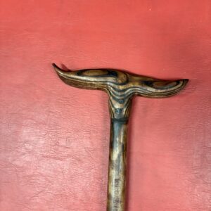 Ox handled cane