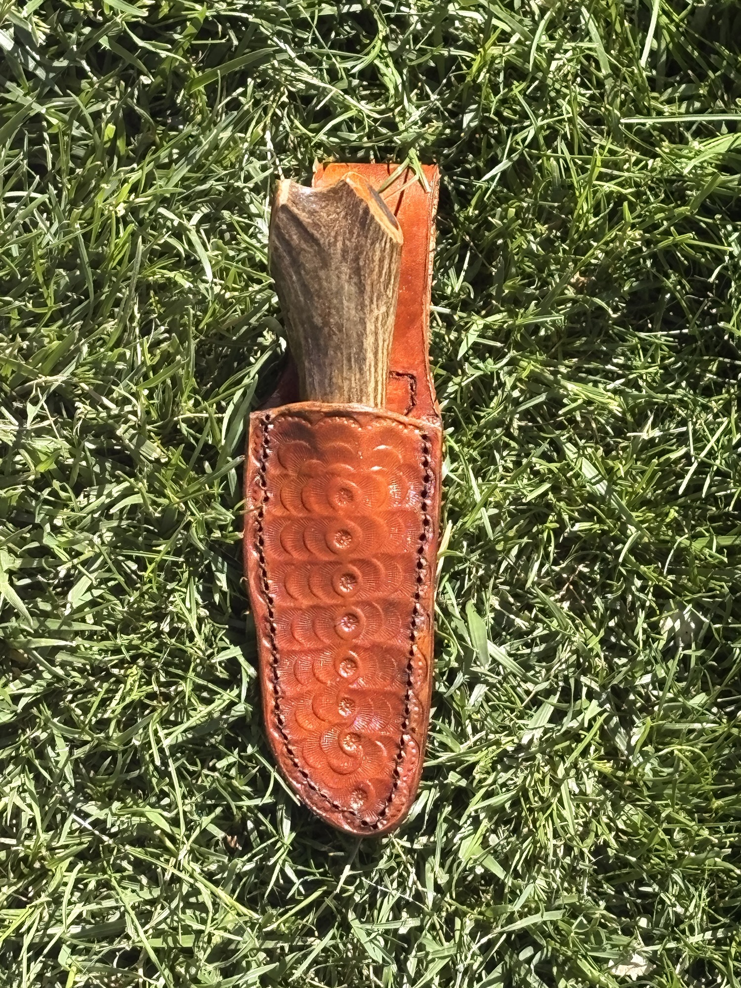 Mini Bowie hunter - Image 3